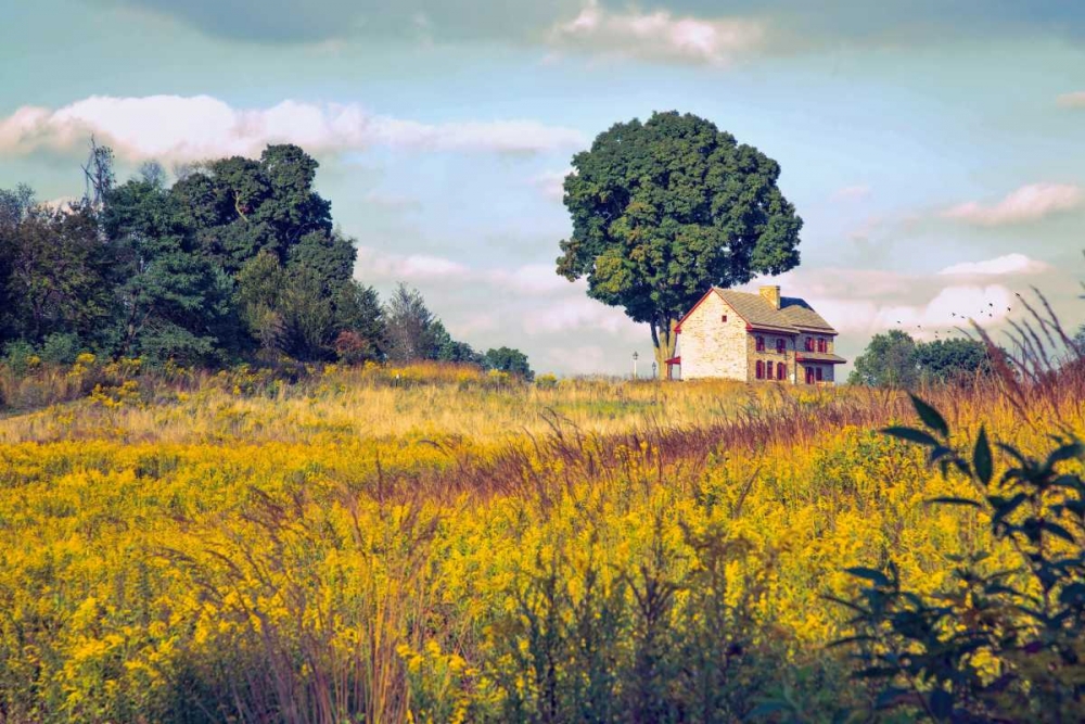 Wall Art Painting id:88375, Name: House on a Hill, Artist: Rivera, John