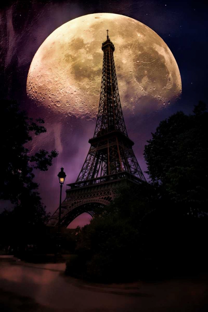 Wall Art Painting id:88376, Name: Moonlight in Paris, Artist: Rivera, John