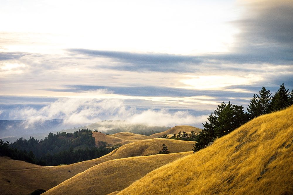 Similar wall art painting: 204583