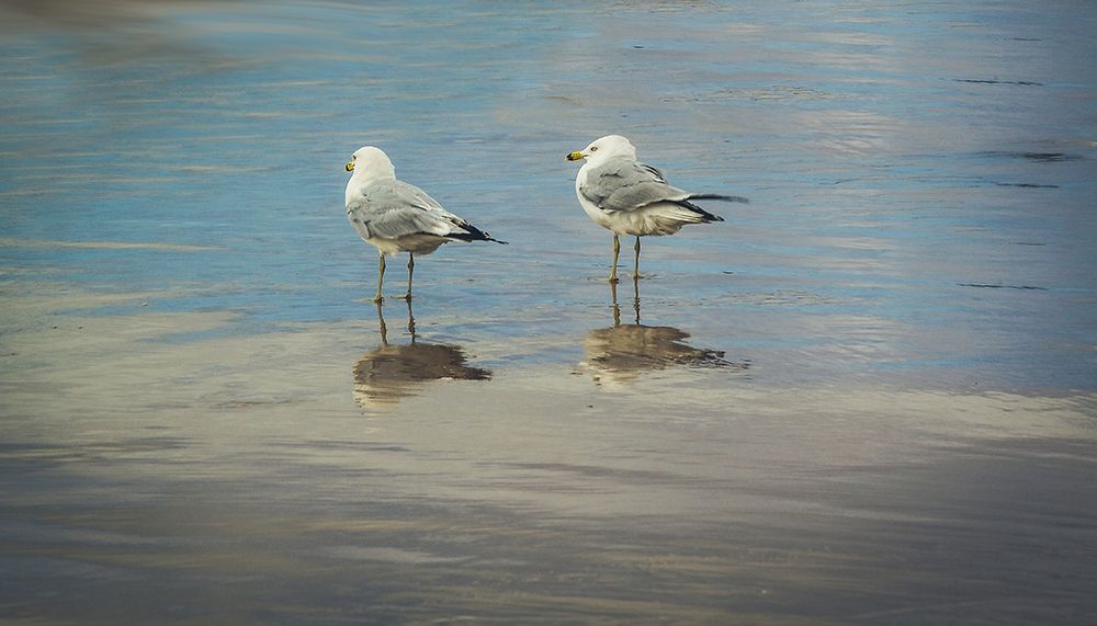 Similar wall art painting: 204588