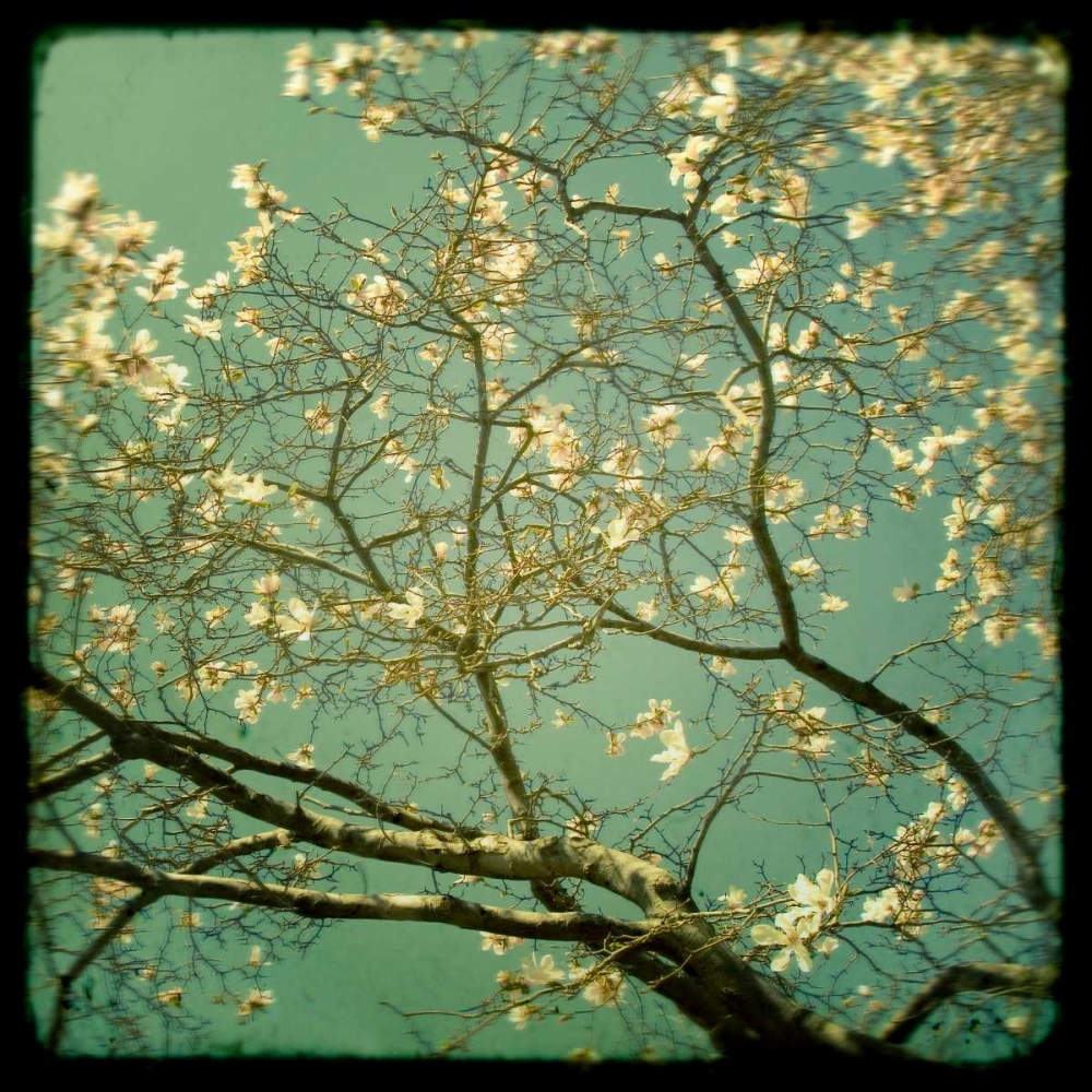 Similar wall art painting: 33241