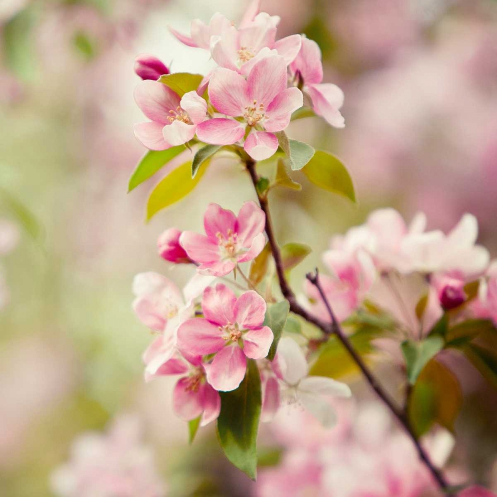 Similar wall art painting: 33247