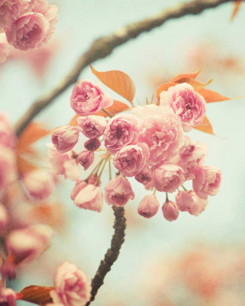 Similar wall art painting: 65583