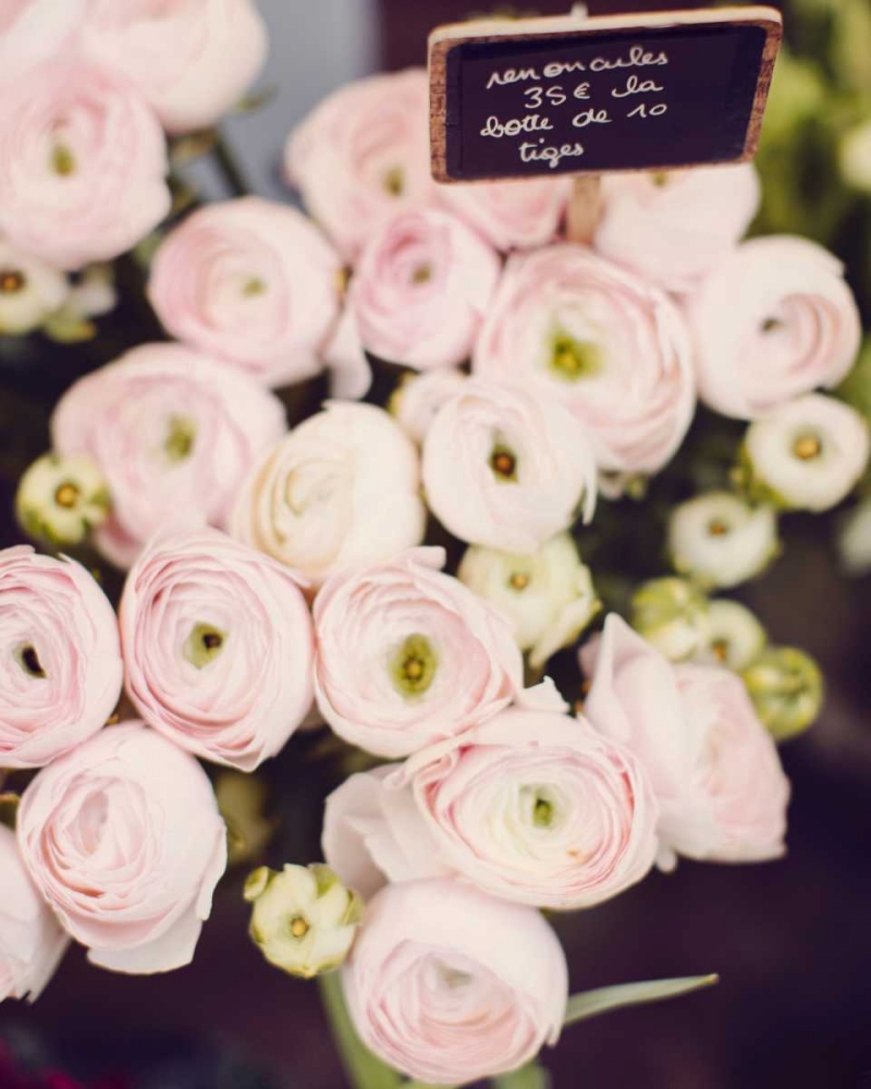 Similar wall art painting: 65581