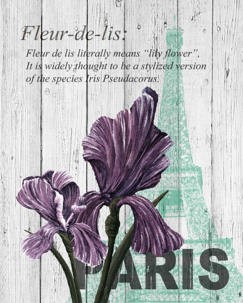 Wall Art Painting id:74756, Name: Paris Iris, Artist: Soave, Alicia