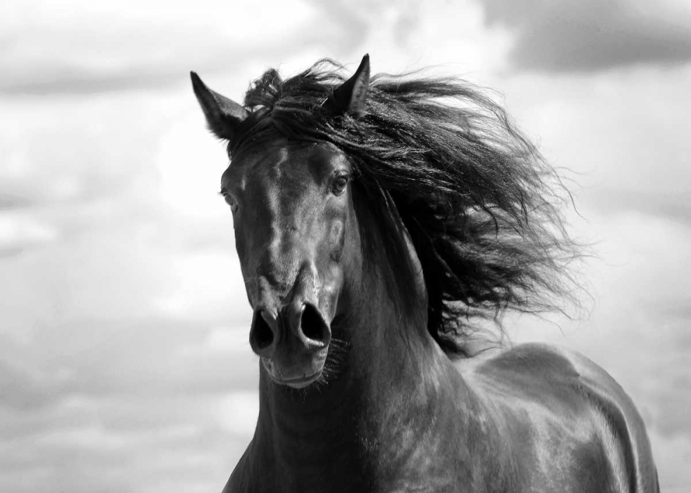 Similar wall art painting: 140263