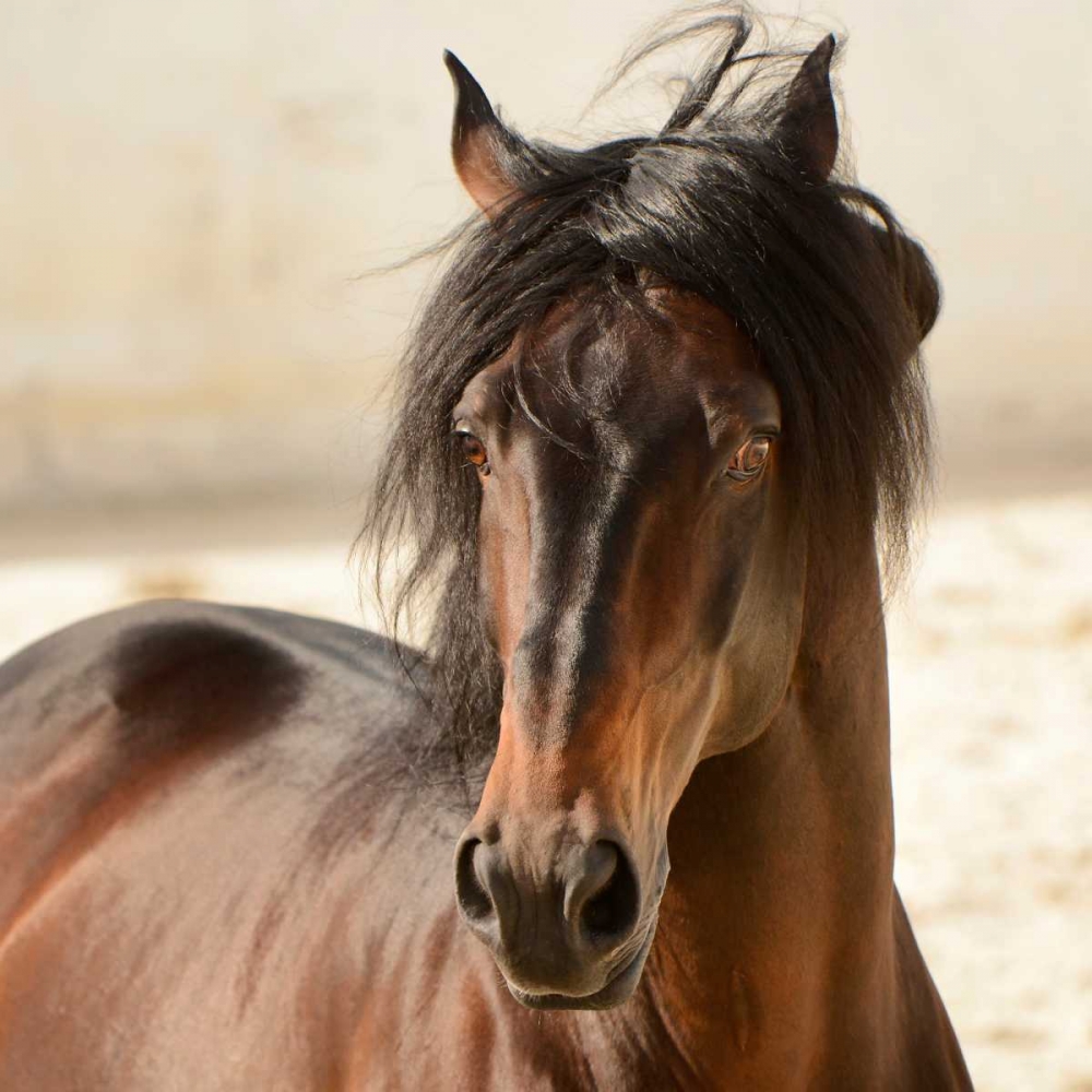 Similar wall art painting: 140264