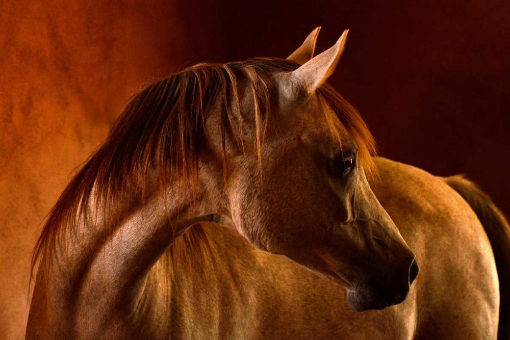 Similar wall art painting: 140265