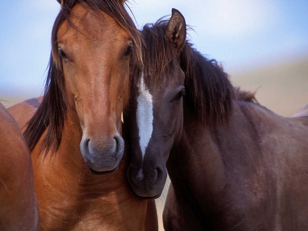 Similar wall art painting: 140270