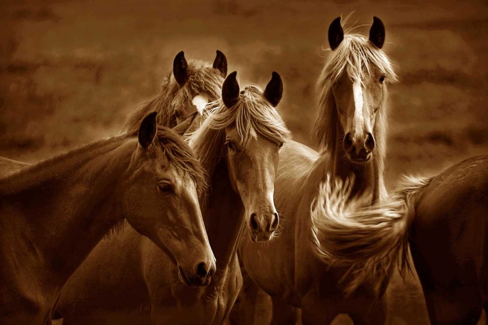 Similar wall art painting: 140262