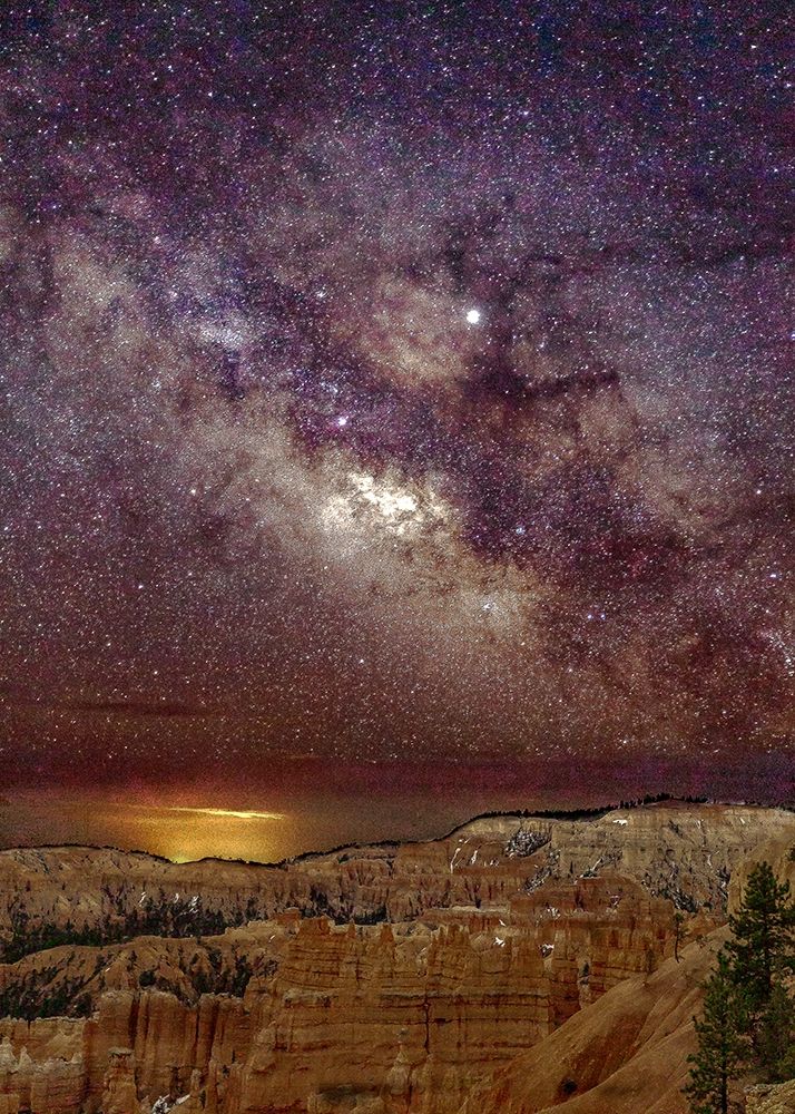 Wall Art Painting id:282918, Name: Milky Way over Bryce Canyon (portrait), Artist: Severn, Shawn/Corinne