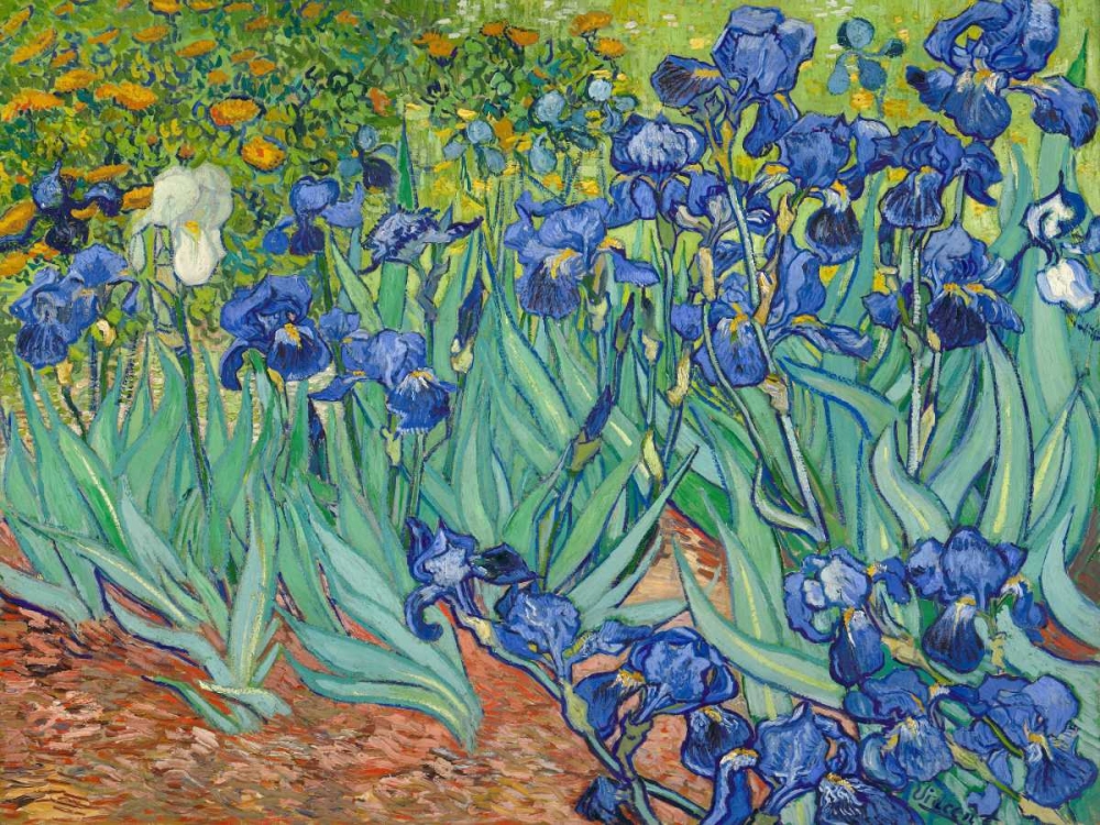 Wall Art Painting id:33278, Name: Irises 1889, Artist: Van Gogh, Vincent