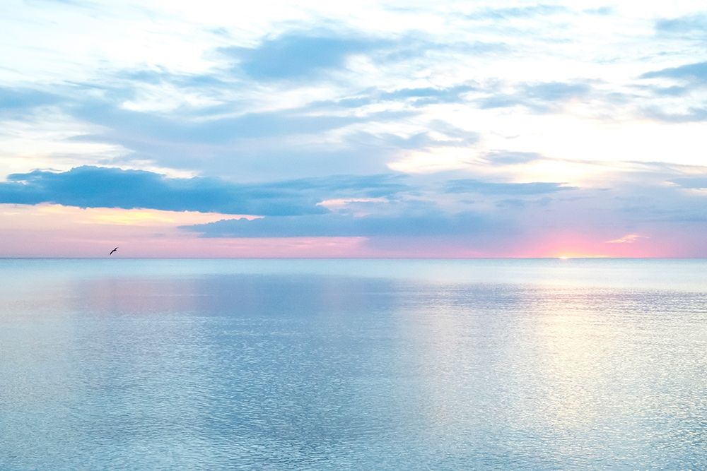 Similar wall art painting: 204624