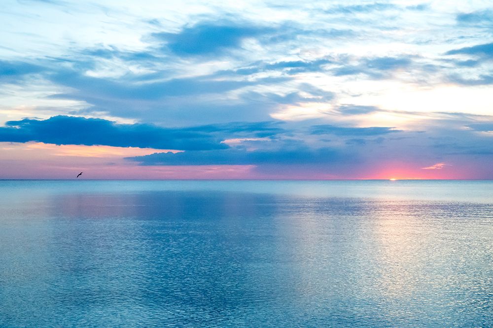 Similar wall art painting: 440608