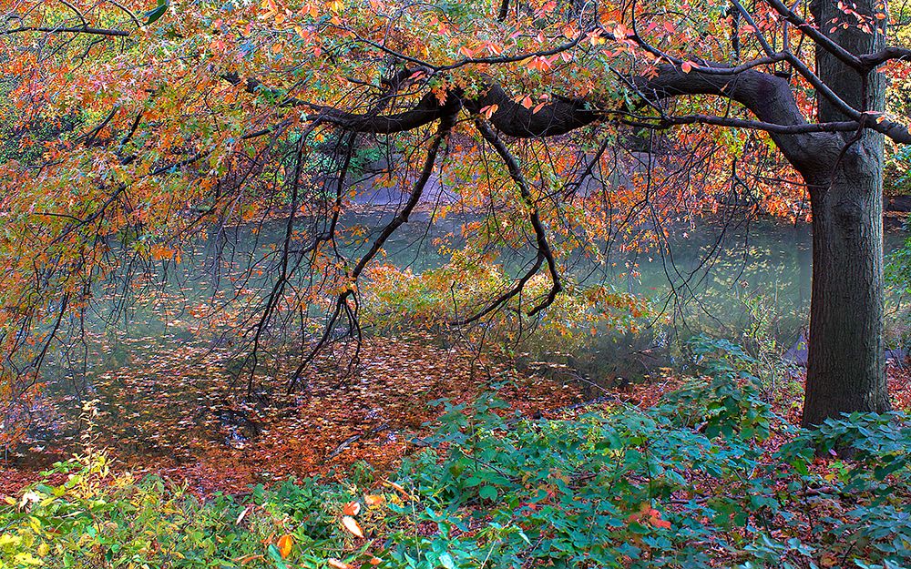 Similar wall art painting: 440610