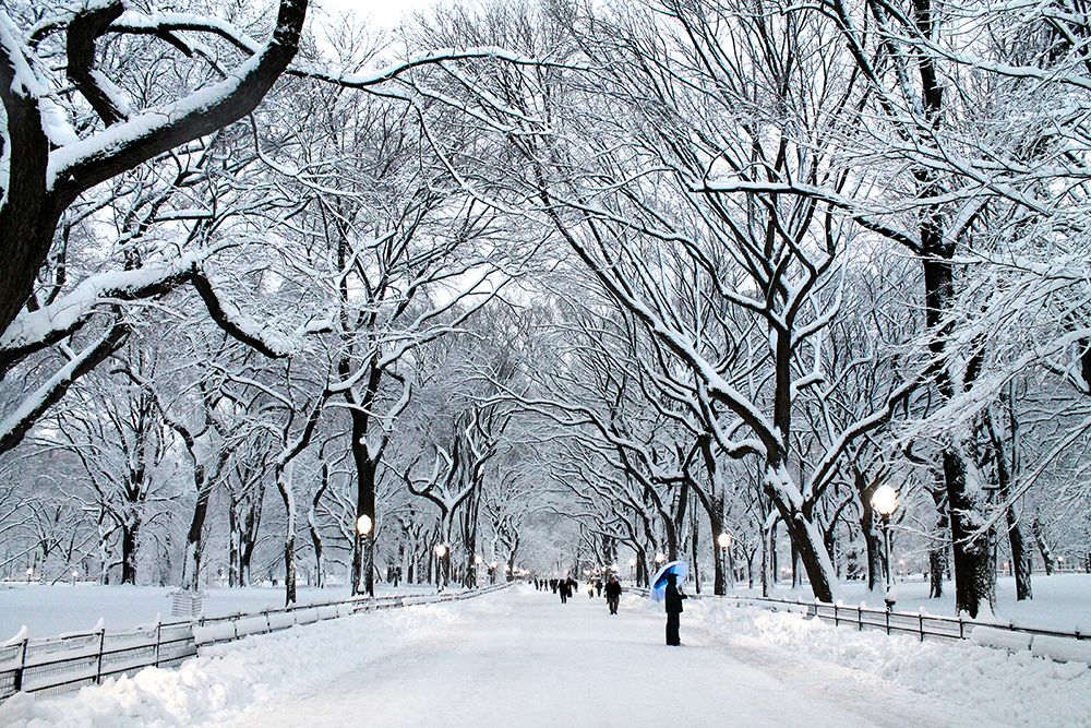 Similar wall art painting: 440613