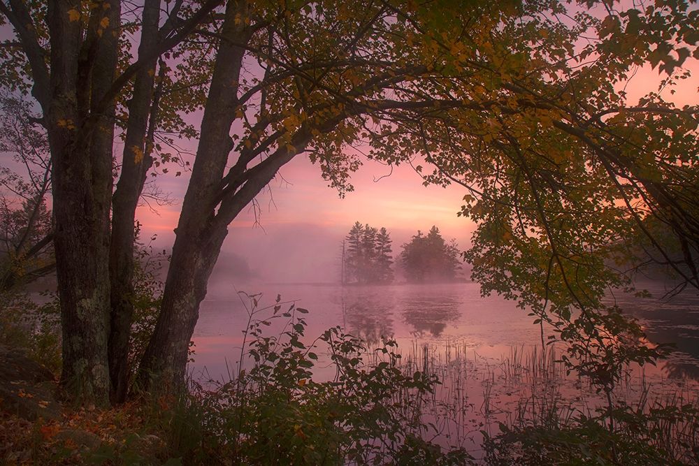 Similar wall art painting: 311039