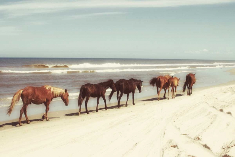 Wall Art Painting id:74143, Name: Horses on the Beach, Artist: Mansfield, Kathy