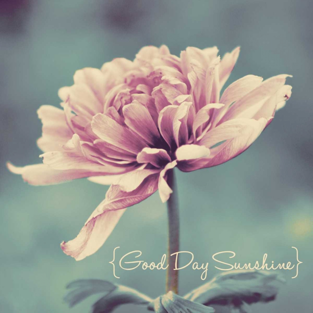 Similar wall art painting: 47428