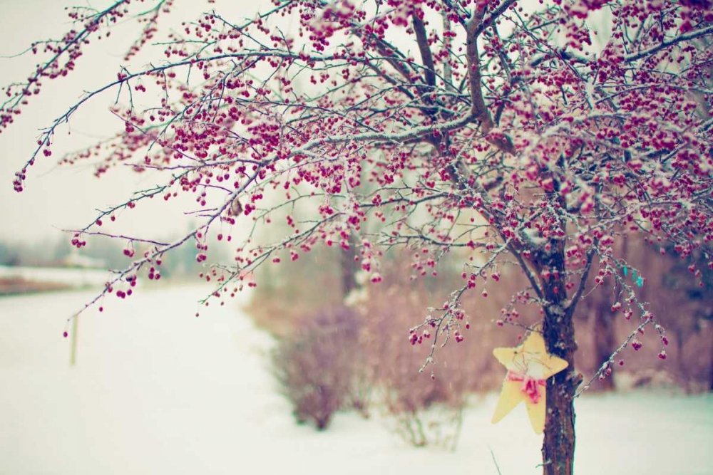 Similar wall art painting: 74170