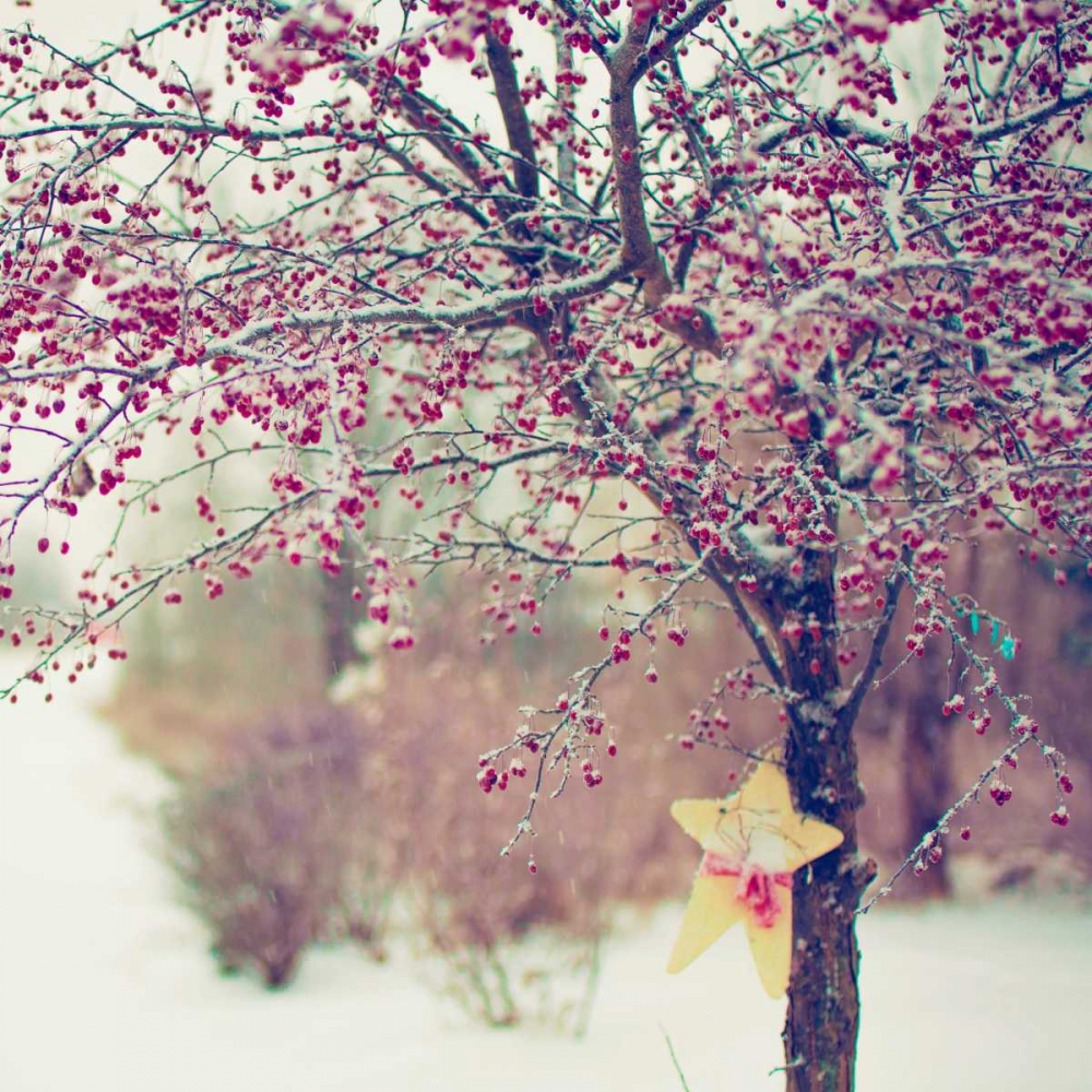 Similar wall art painting: 74171