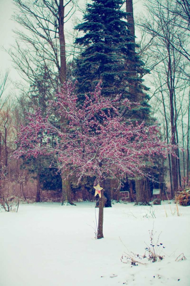 Similar wall art painting: 74172