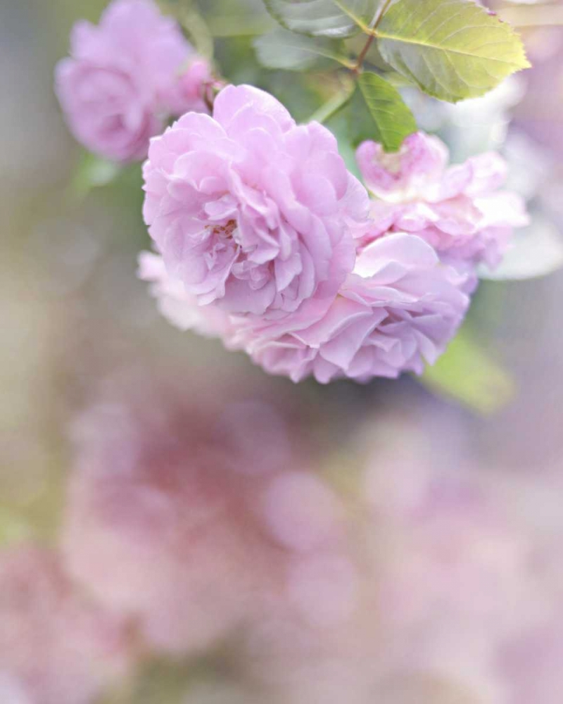 Similar wall art painting: 47446