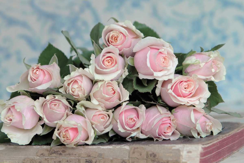 Similar wall art painting: 74009