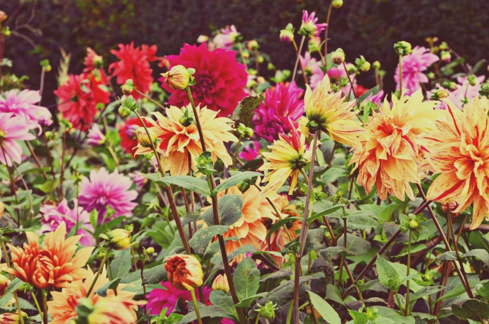 Similar wall art painting: 74014