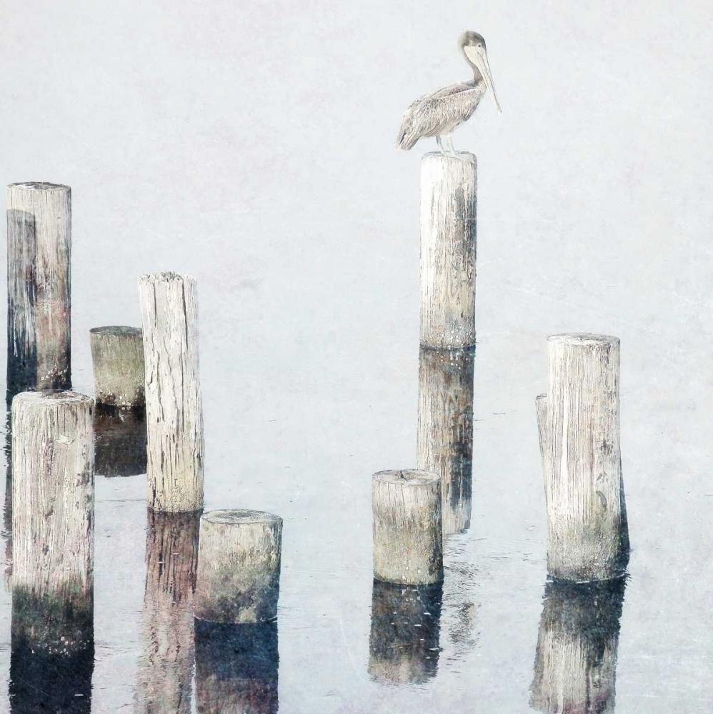 Wall Art Painting id:122212, Name: Perched Pelican, Artist: Nawrocke, Bruce