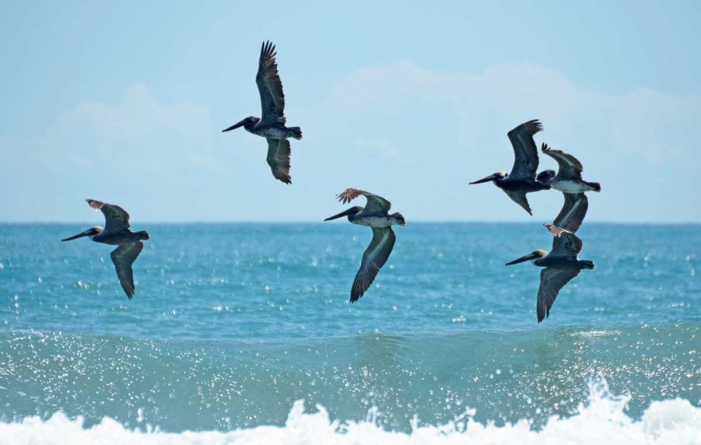 Similar wall art painting: 122215