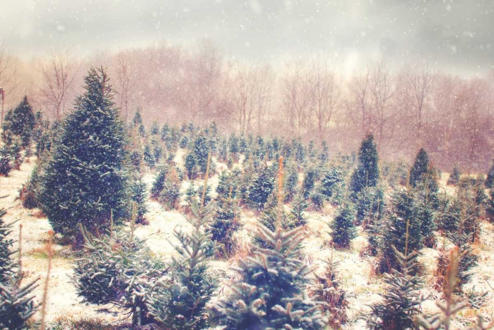 Similar wall art painting: 74029