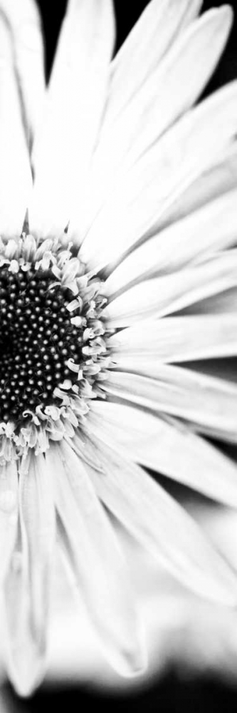 Similar wall art painting: 122252