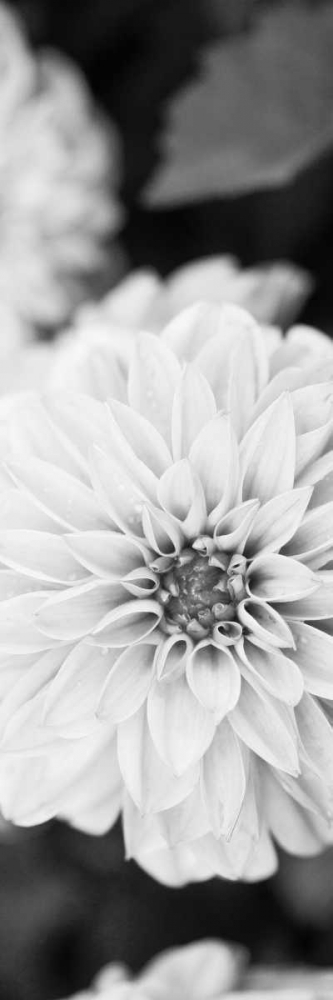 Similar wall art painting: 122256