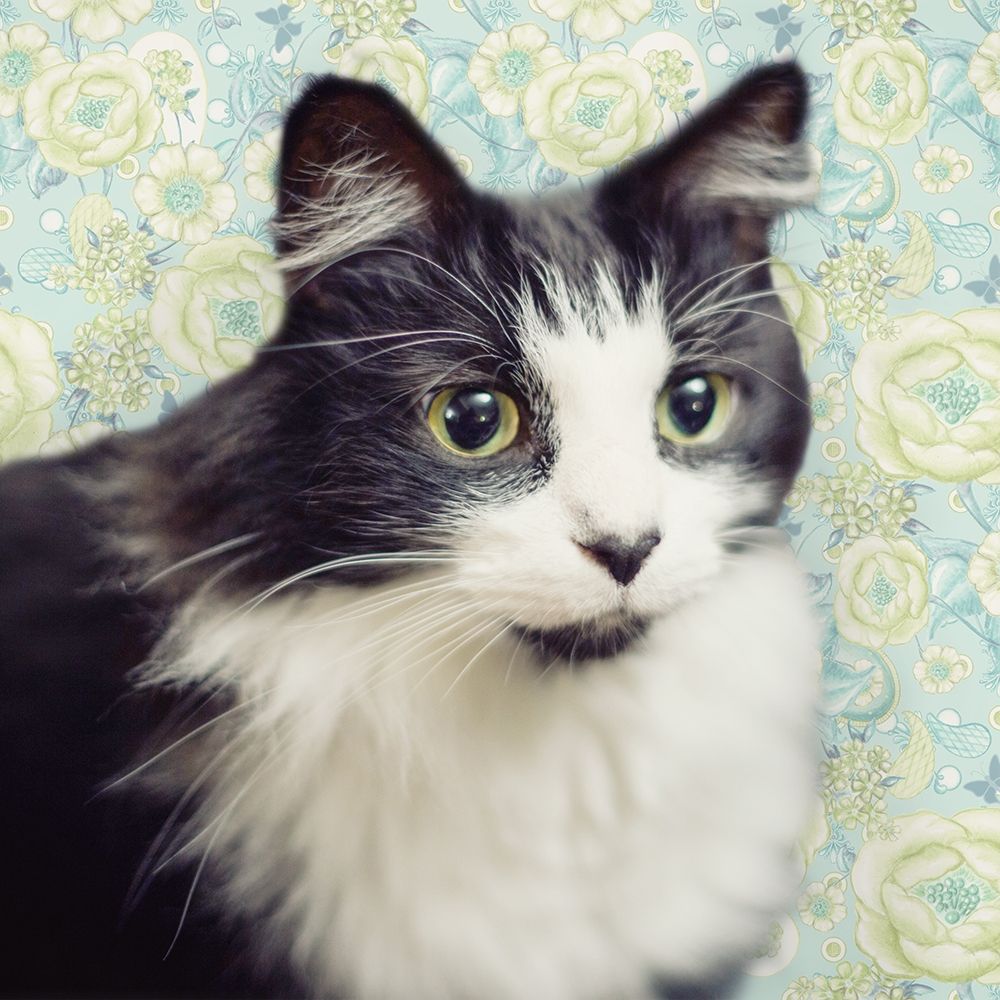 Similar wall art painting: 204752