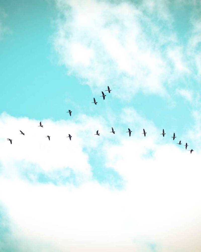 Similar wall art painting: 122420