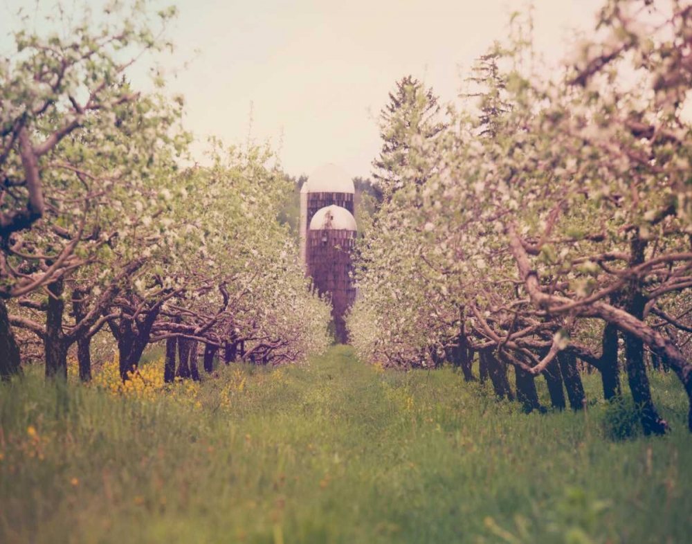 Similar wall art painting: 122472