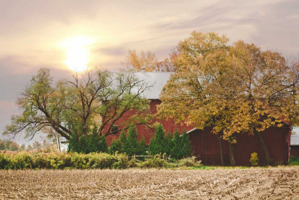 Wall Art Painting id:122474, Name: My Red Barn, Artist: Poynter, Kelly