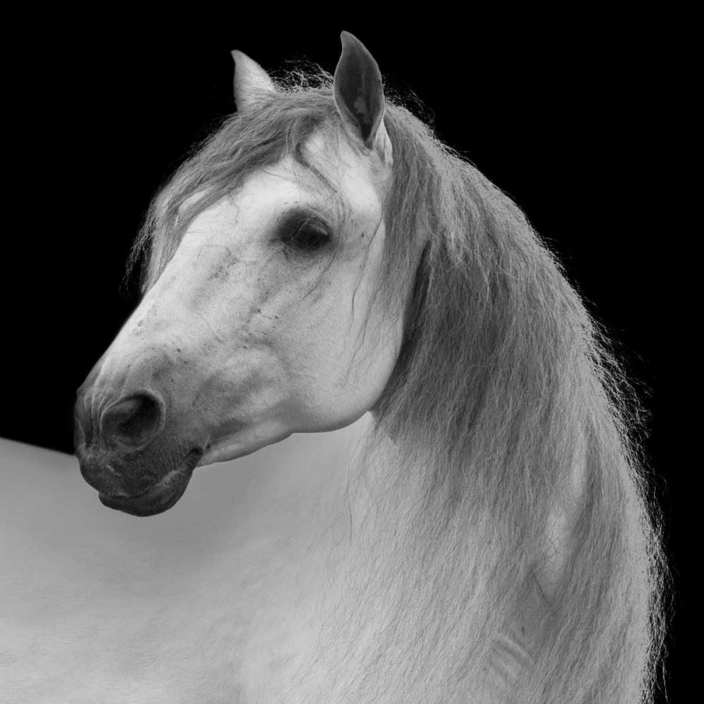 Similar wall art painting: 171890