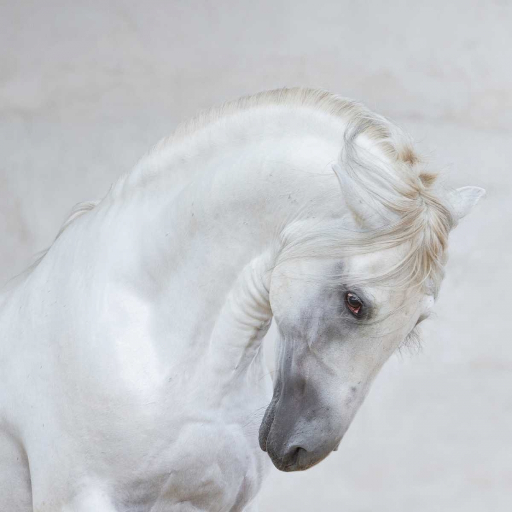 Similar wall art painting: 171887