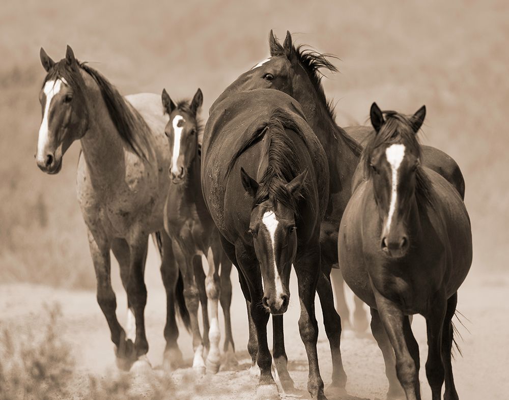 Art Print: Waterhole March
