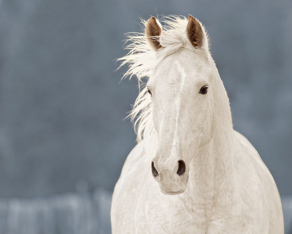 Similar wall art painting: 523737