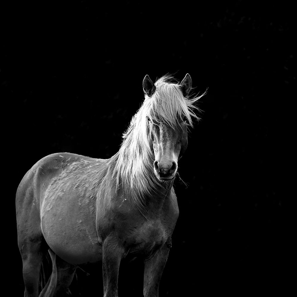 Similar wall art painting: 190476