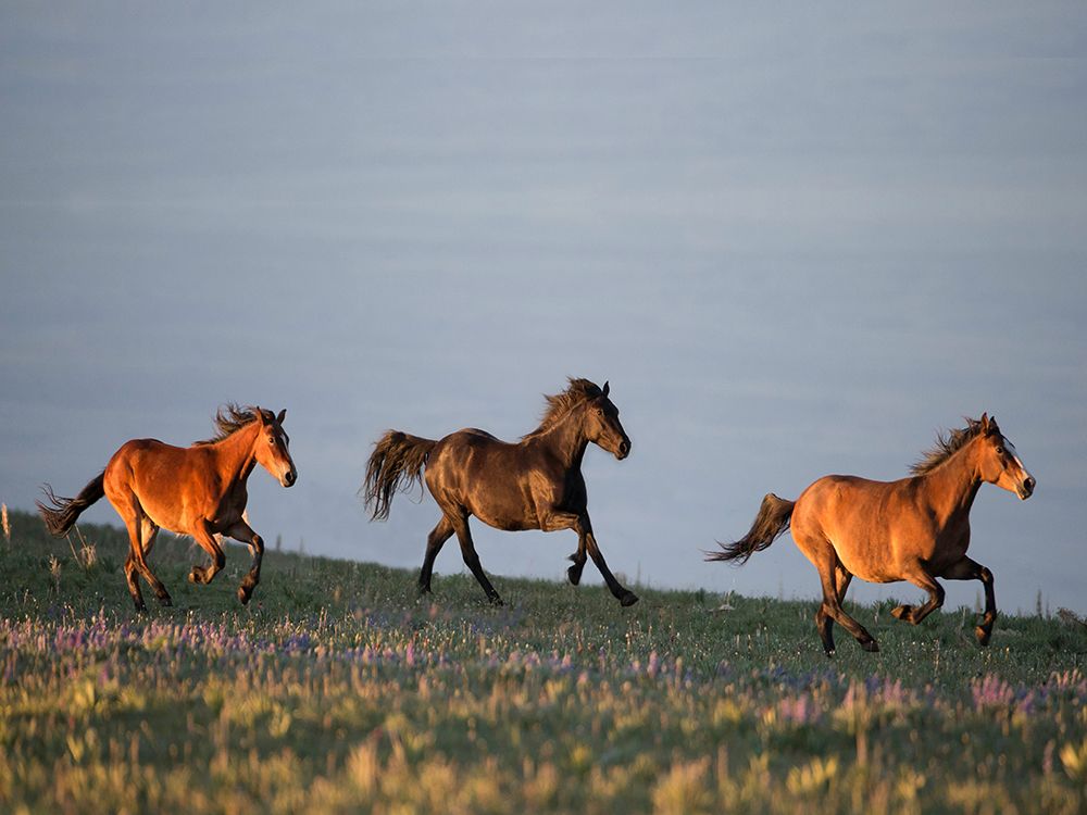 Similar wall art painting: 523752