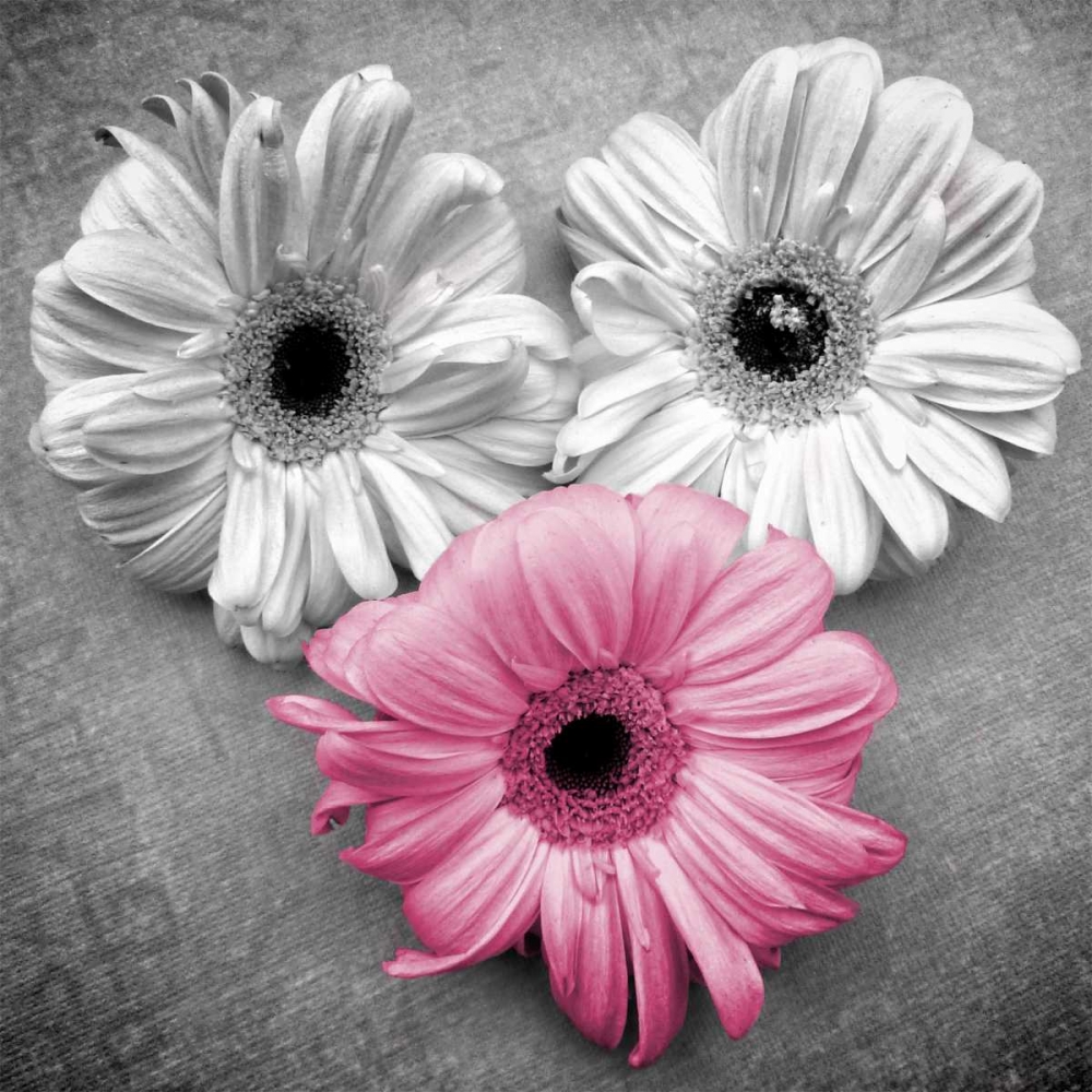 Similar wall art painting: 47673