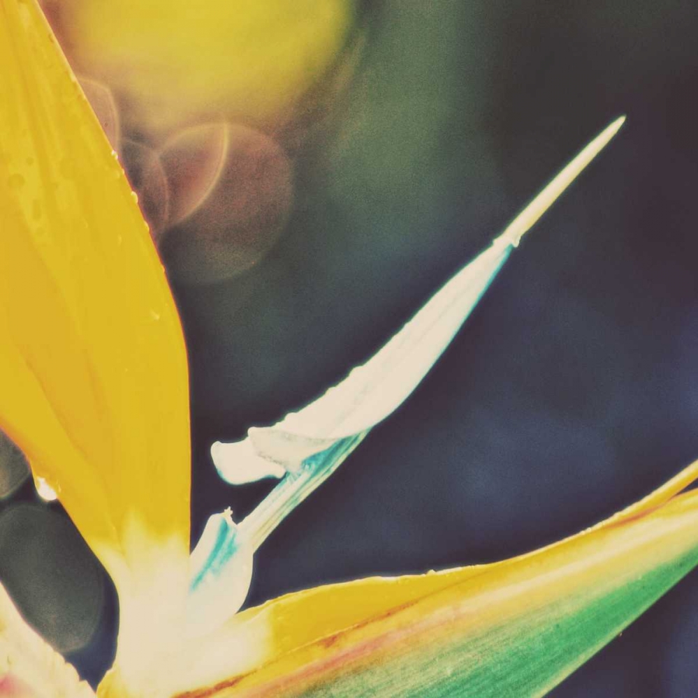 Similar wall art painting: 122544