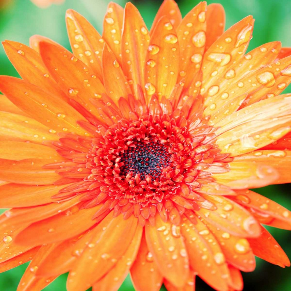 Similar wall art painting: 122638