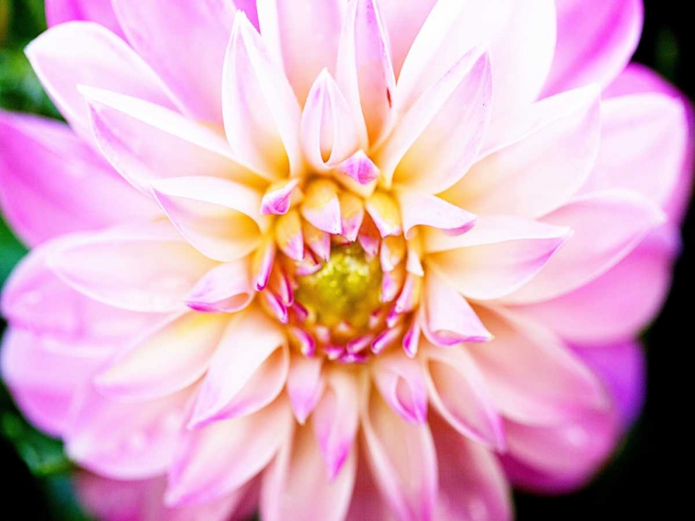 Similar wall art painting: 122655