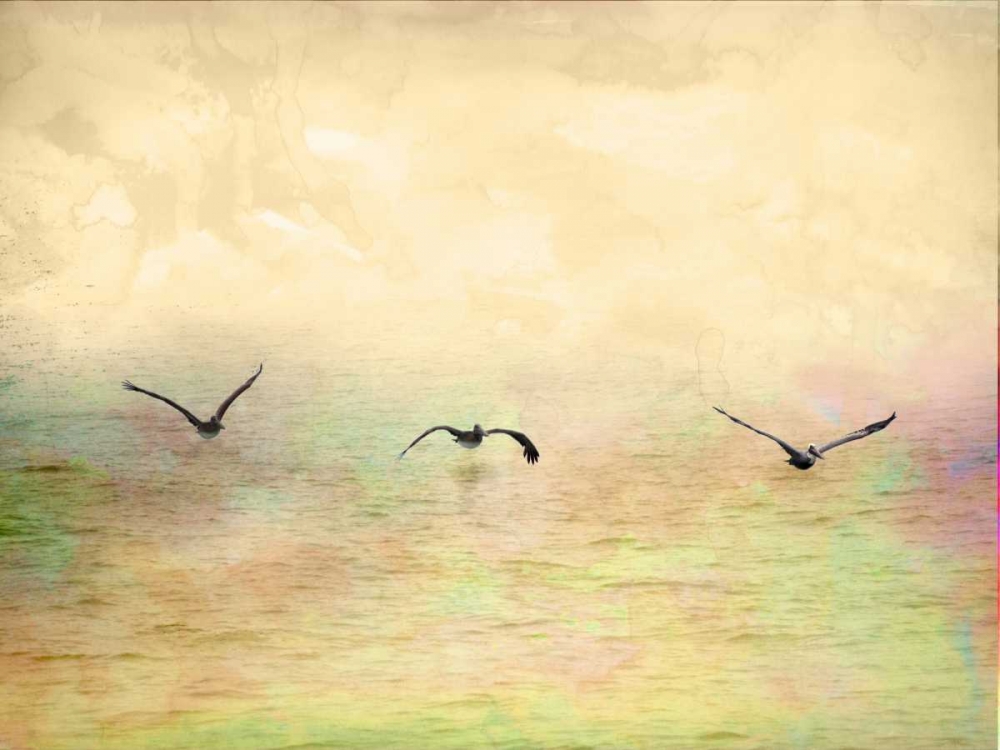 Wall Art Painting id:122671, Name: Seagulls in the Sky I, Artist: Mabat, Ynon