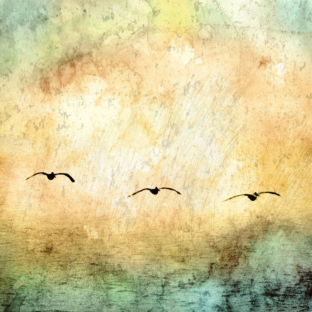 Wall Art Painting id:204796, Name: Seagulls in the Sky Square III, Artist: Mabat, Ynon